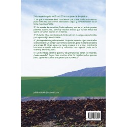 Mis Pequeños Guiones Tomo 2 (PDF)