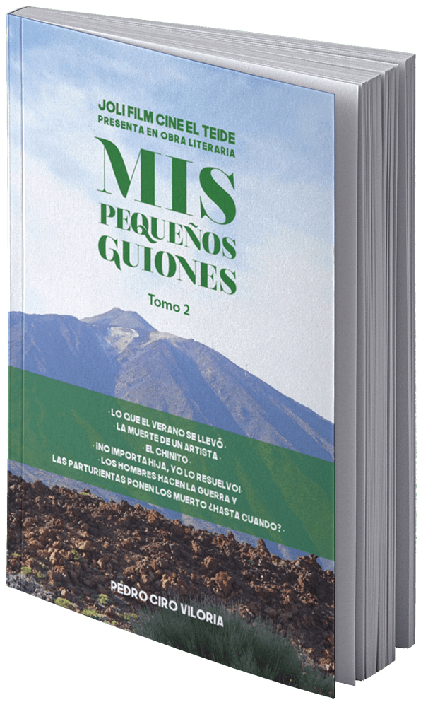 Mis pequeños guiones tomo 2